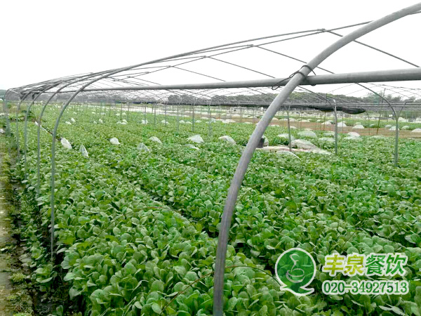 廣州食堂承包公司能給企業(yè)帶來什么，企業(yè)知道嗎？